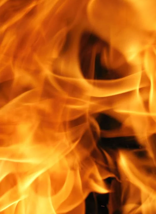 ele fire